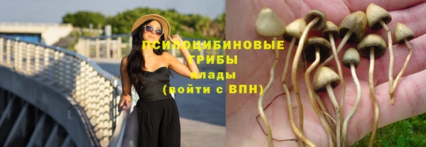синтетический гашиш Киренск