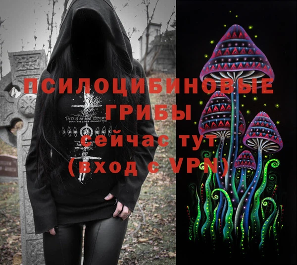 крисы Киреевск