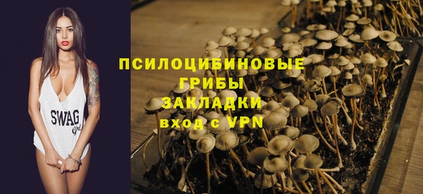 крисы Киреевск