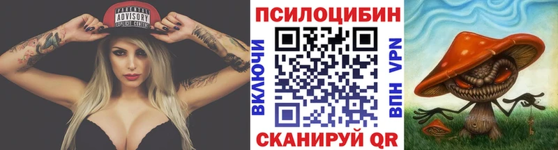 Купить Киселёвск Псилоцибиновые грибы Cubensis